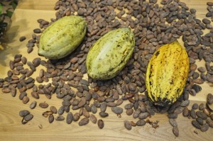 cocoabeans