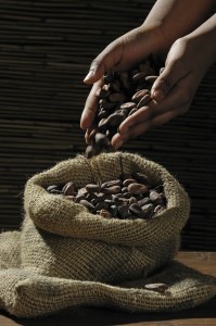 saccococoabeans